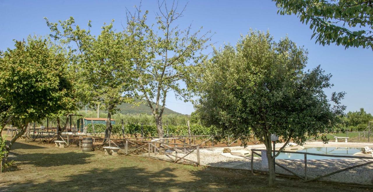 Marisma Villa Ravi Exterior photo